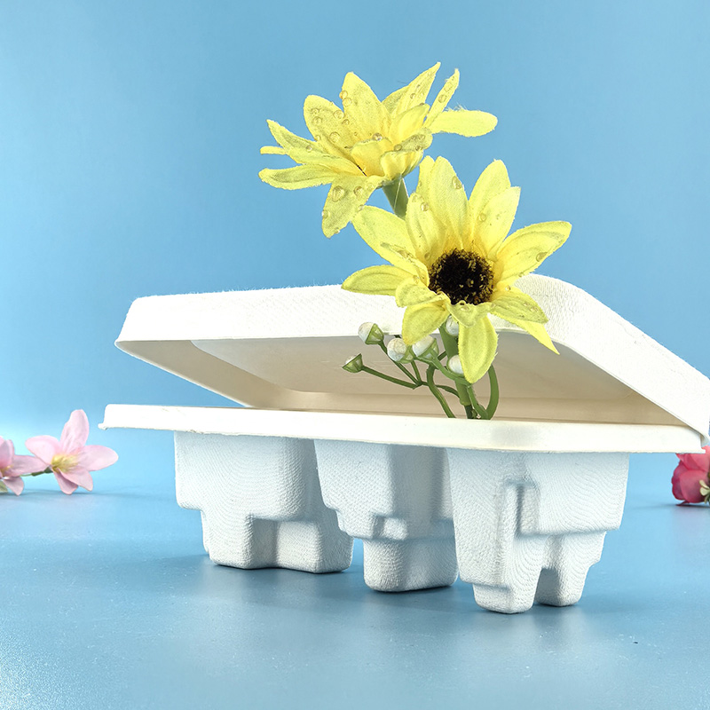 Corrugated paper tray